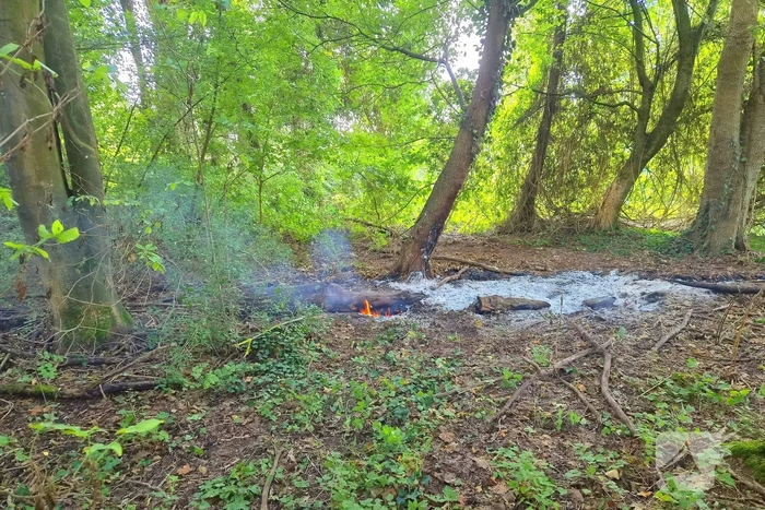Brand in boomstronken in natuurgebied