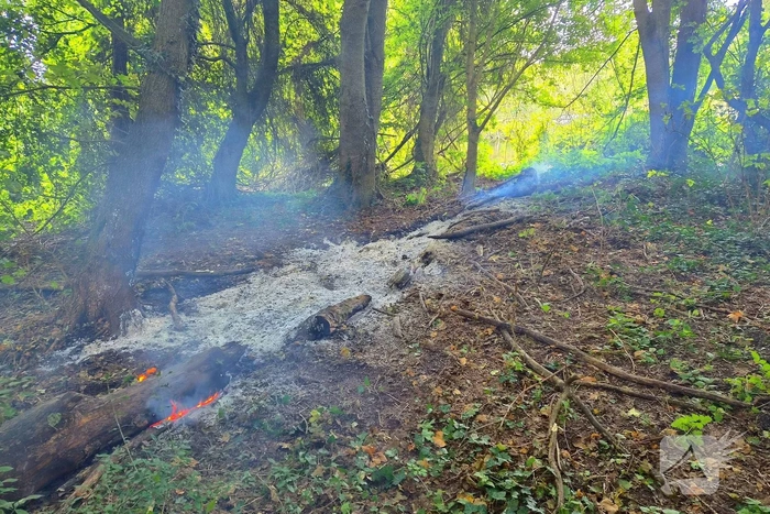 Brand in boomstronken in natuurgebied