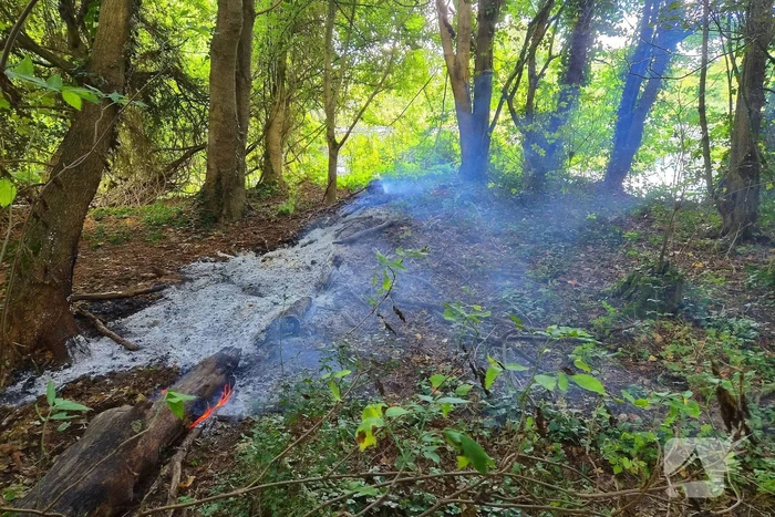 Brand in boomstronken in natuurgebied