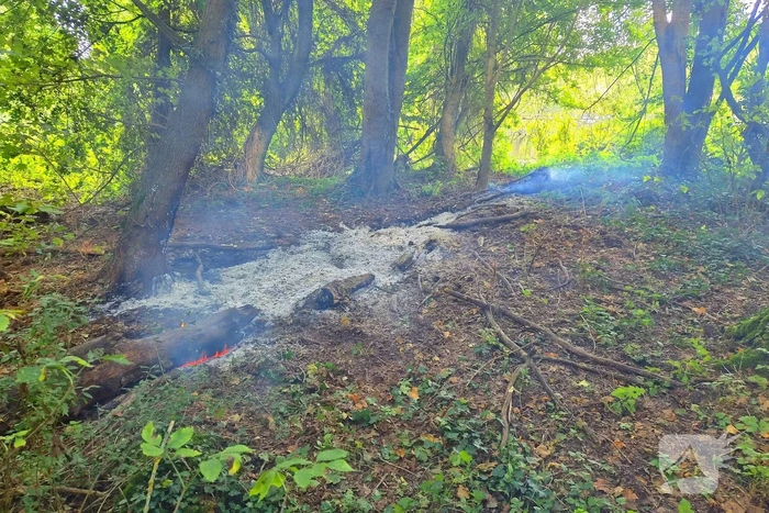 Brand in boomstronken in natuurgebied