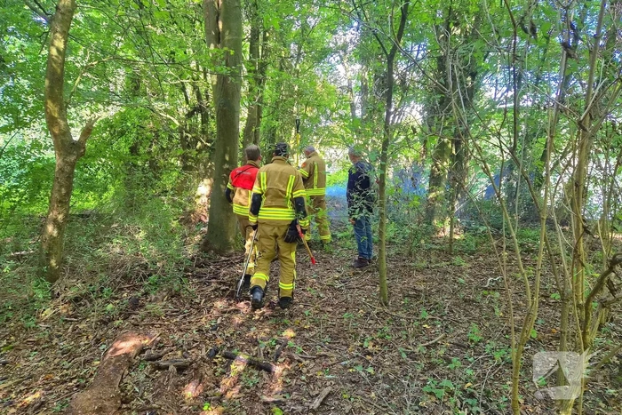 Brand in boomstronken in natuurgebied