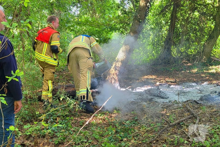 Brand in boomstronken in natuurgebied