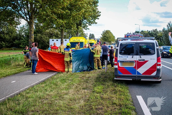 Dode na botsing tegen boom langs provincie weg