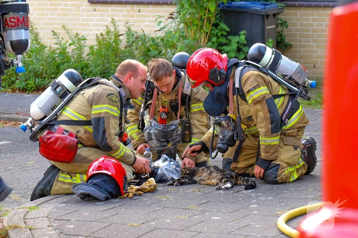 Brandweermensen redden kat uit woningbrand