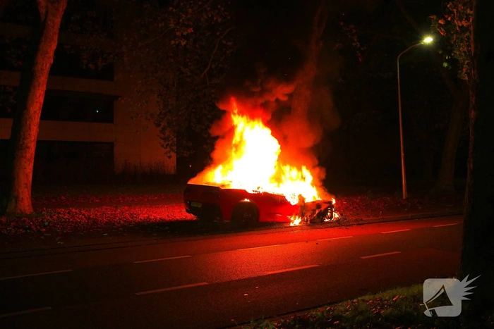 Twee voertuigen in brand gestoken met vermoedelijke brandstichting