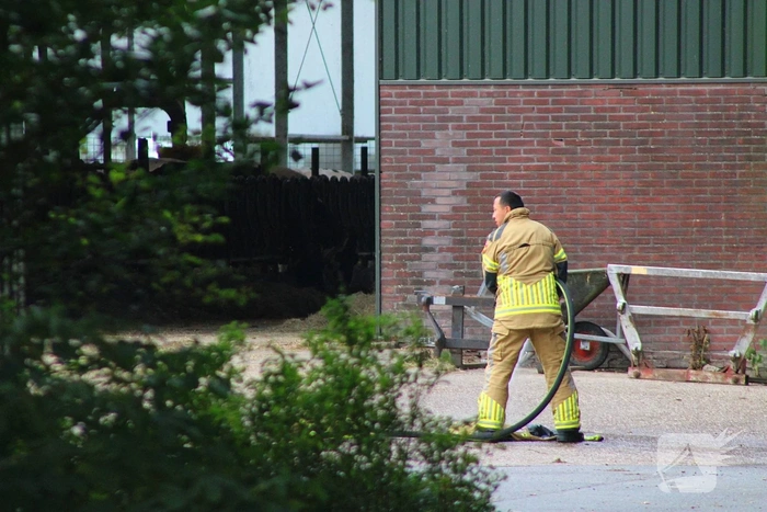 Veeredteam ingezet bij boerderij