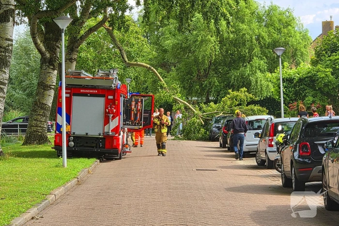 Grote tak belandt op personenauto