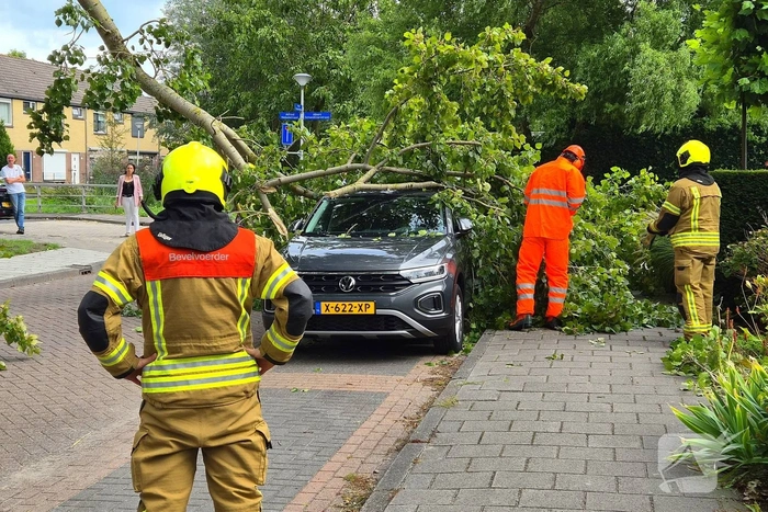 Grote tak belandt op personenauto