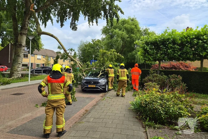 Grote tak belandt op personenauto