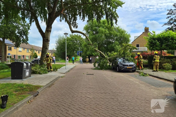Grote tak belandt op personenauto