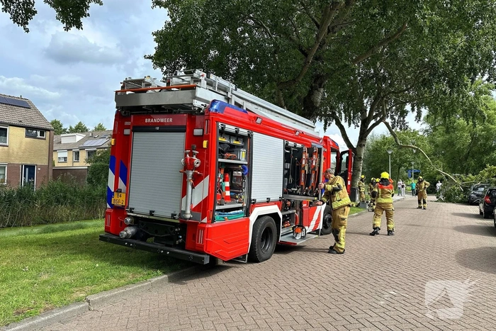 Grote tak belandt op personenauto