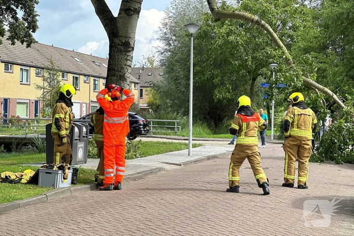 Grote tak belandt op personenauto