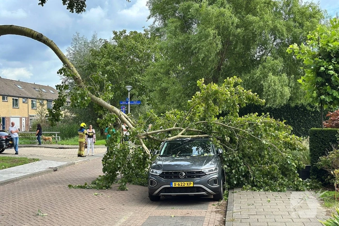 Grote tak belandt op personenauto
