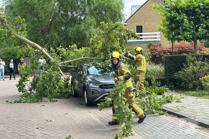 Grote tak belandt op personenauto