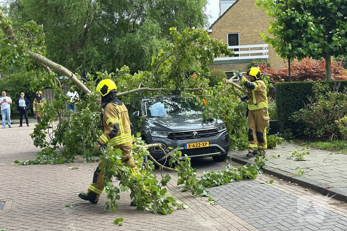 Grote tak belandt op personenauto