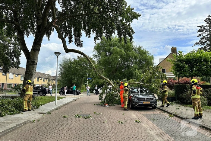 Grote tak belandt op personenauto