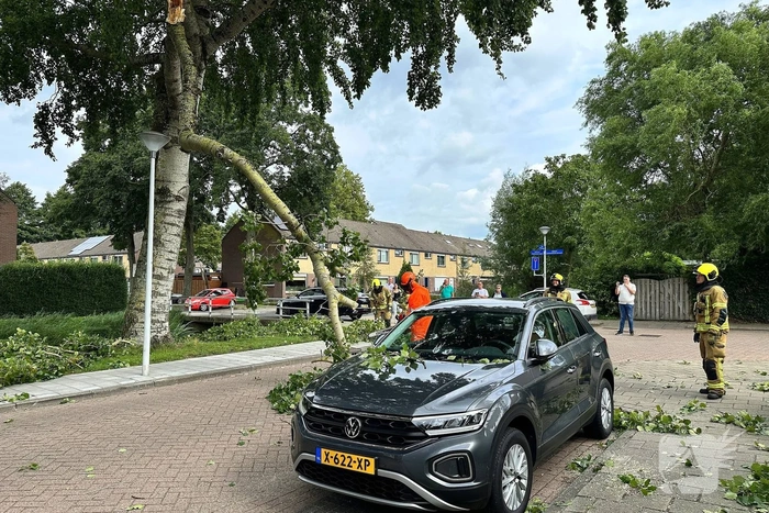 Grote tak belandt op personenauto
