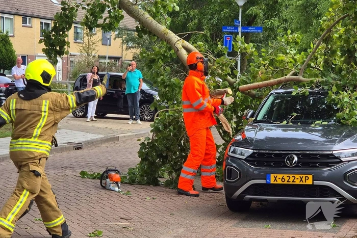 Grote tak belandt op personenauto