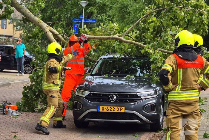 Grote tak belandt op personenauto