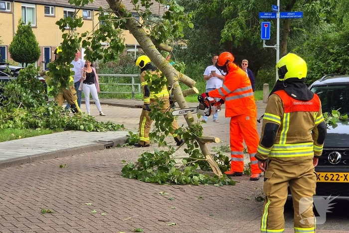 Grote tak belandt op personenauto
