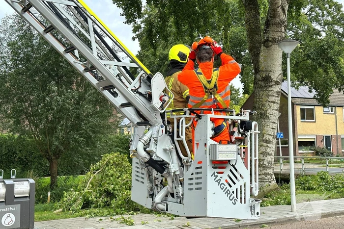 Grote tak belandt op personenauto