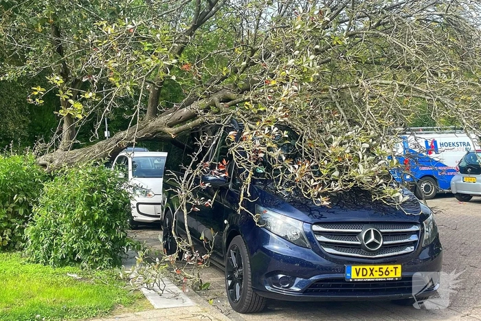 natuur schelpenhoek urk