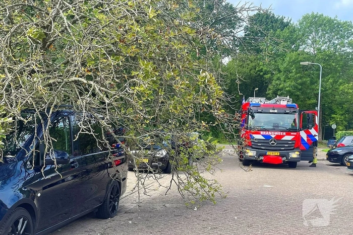 Boom valt om en belandt op voertuig