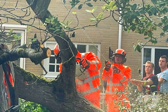 Boom valt om en belandt op voertuig