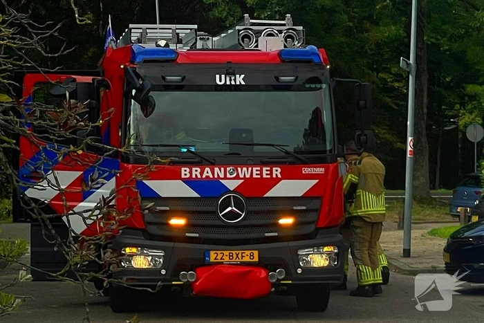 Boom valt om en belandt op voertuig