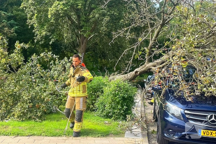 Boom valt om en belandt op voertuig