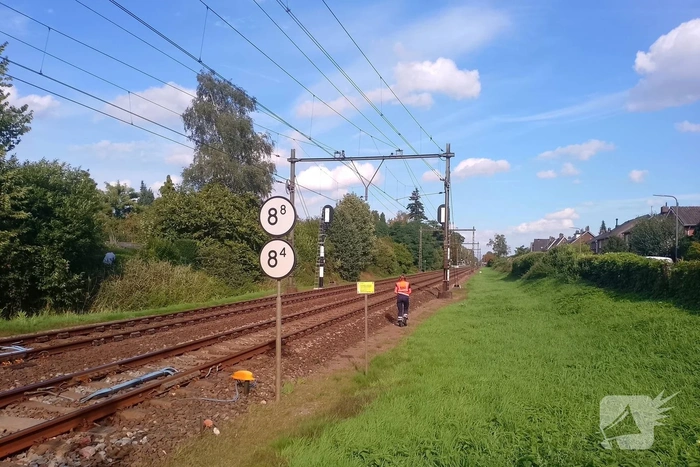 Treinen stilgelegd door seinstoring