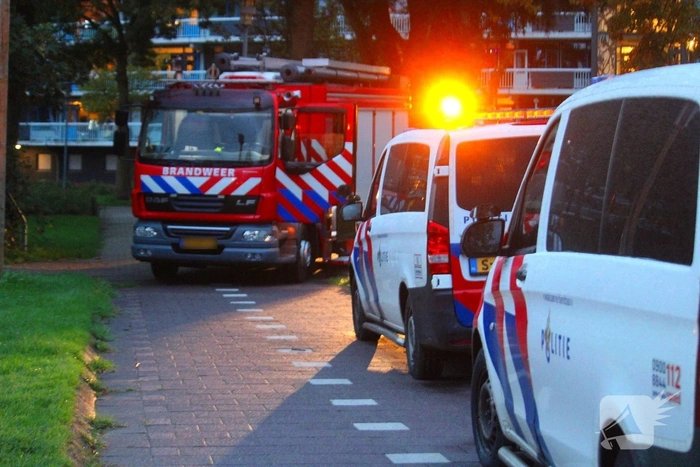 Brandweer en politie in actie voor kalfje