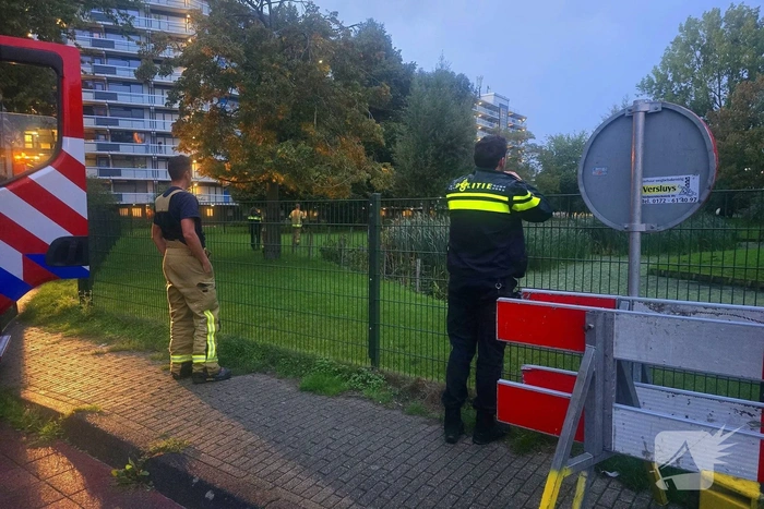 Brandweer en politie in actie voor kalfje