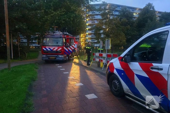 Brandweer en politie in actie voor kalfje