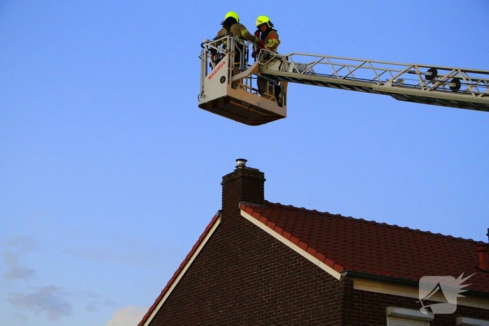 Hoornaarnest veroorzaakt brand in schoorsteen
