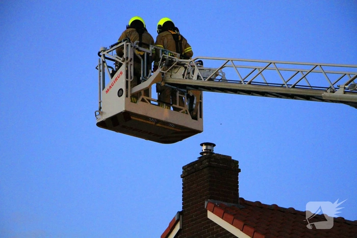 Hoornaarnest veroorzaakt brand in schoorsteen