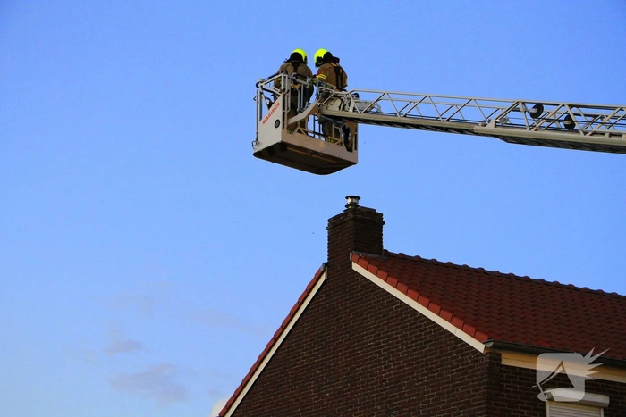 Hoornaarnest veroorzaakt brand in schoorsteen