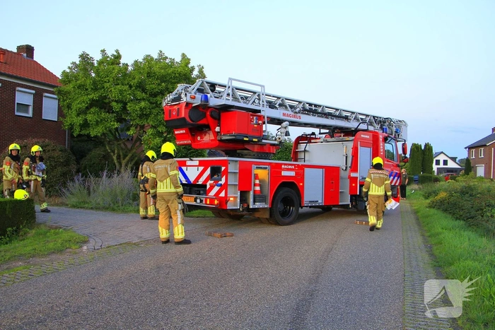Hoornaarnest veroorzaakt brand in schoorsteen