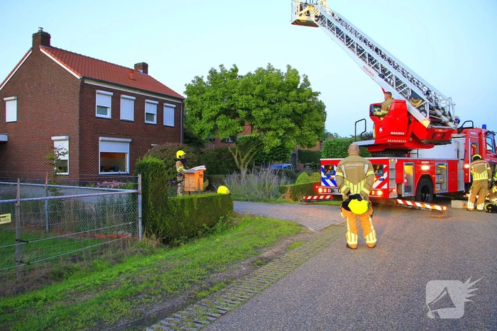 Hoornaarnest veroorzaakt brand in schoorsteen