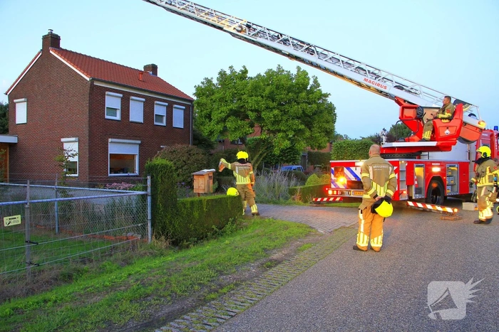 Hoornaarnest veroorzaakt brand in schoorsteen