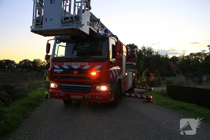 Hoornaarnest veroorzaakt brand in schoorsteen
