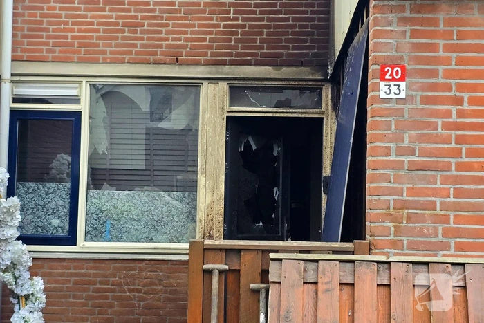 brand punter 20 lelystad