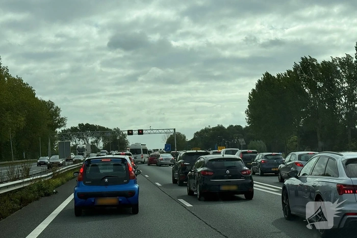 Gigantische en risicovolle verkeersopstopping door protest op snelweg