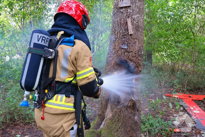 Boom in brand geblust achter school