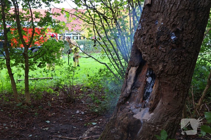 Boom in brand geblust achter school
