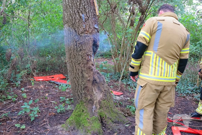 Boom in brand geblust achter school