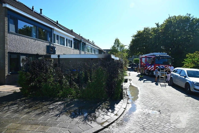 Brand in struikgewas snel onder controle