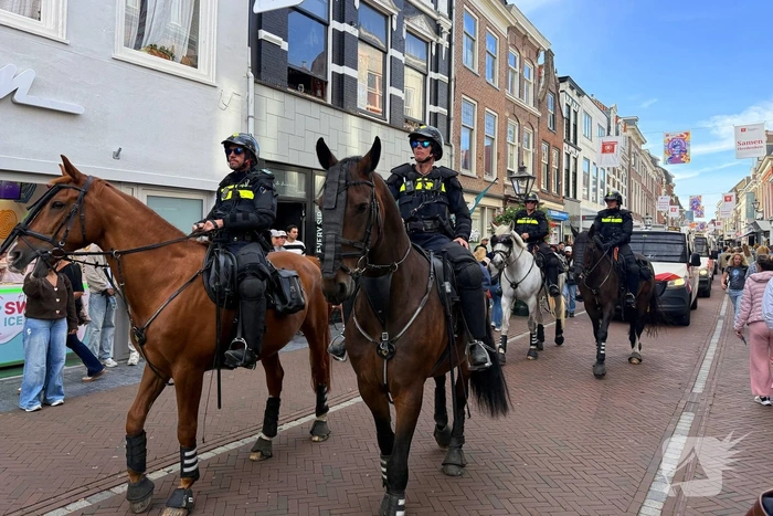 Mobiele Eenheid groots aanwezig bij protestmars