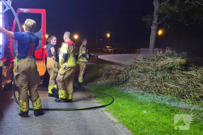 brand buorren goutum