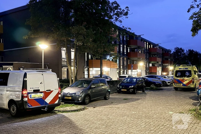 Steekincident leidt tot aanhouding